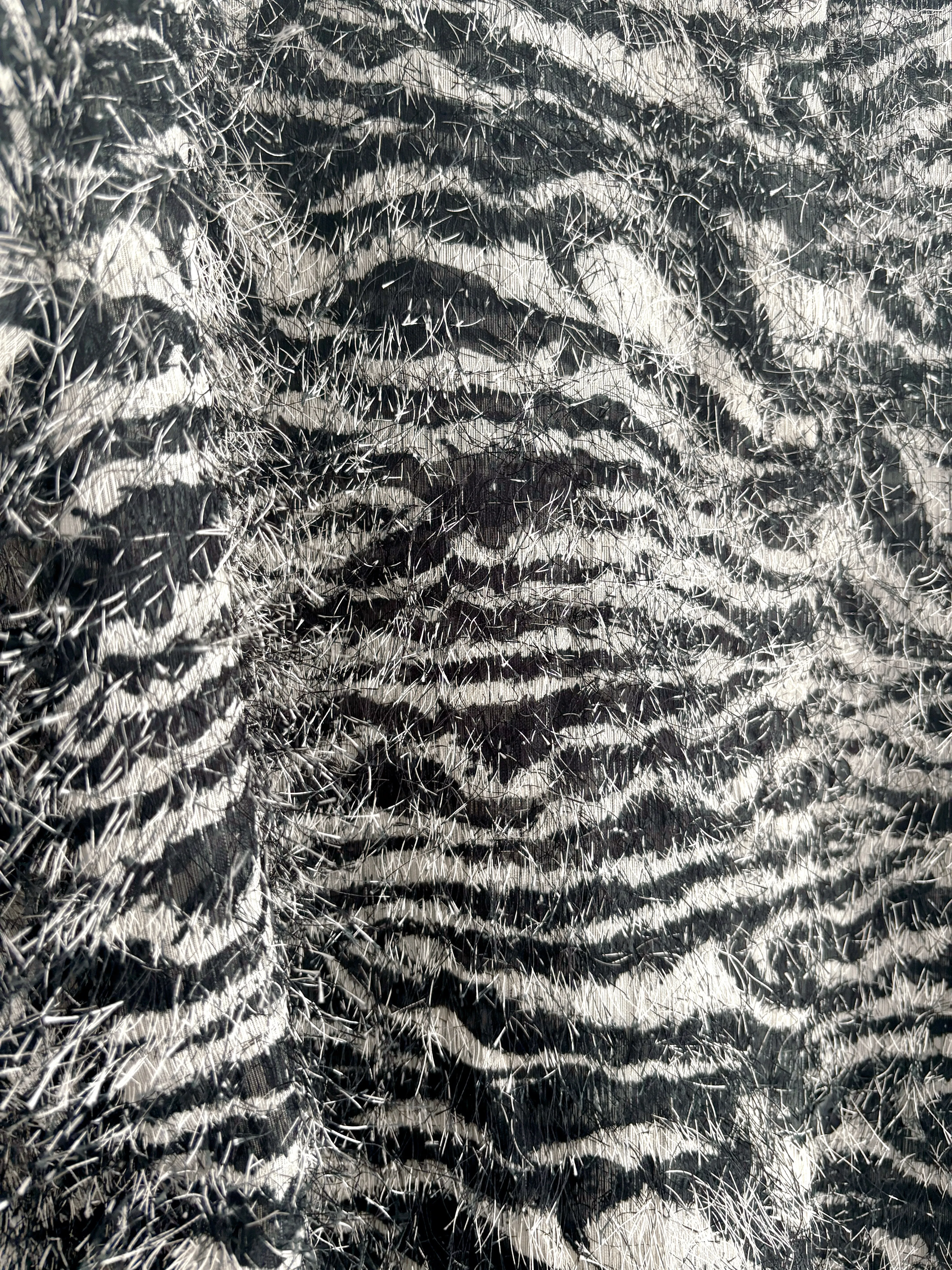 Zebra Button Up